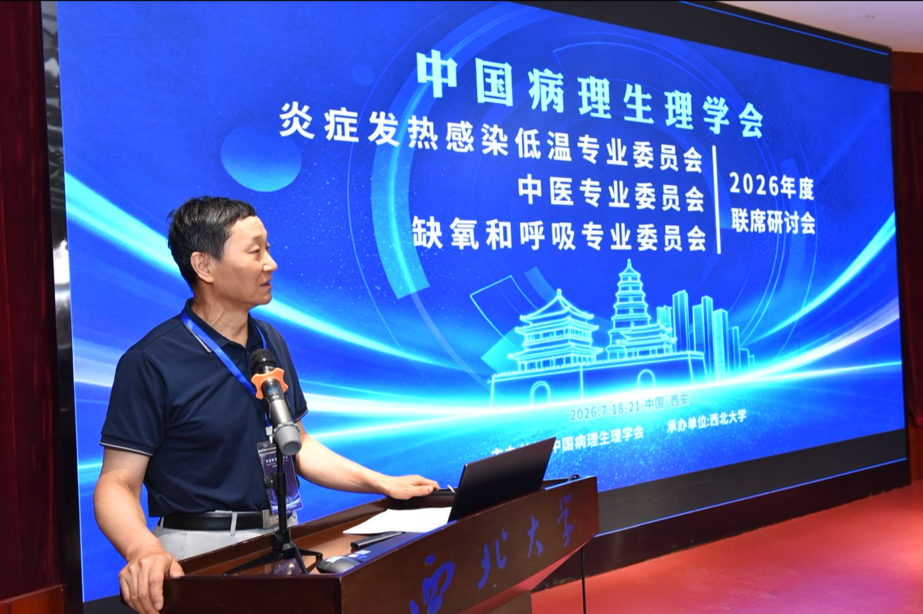 图片 11.png