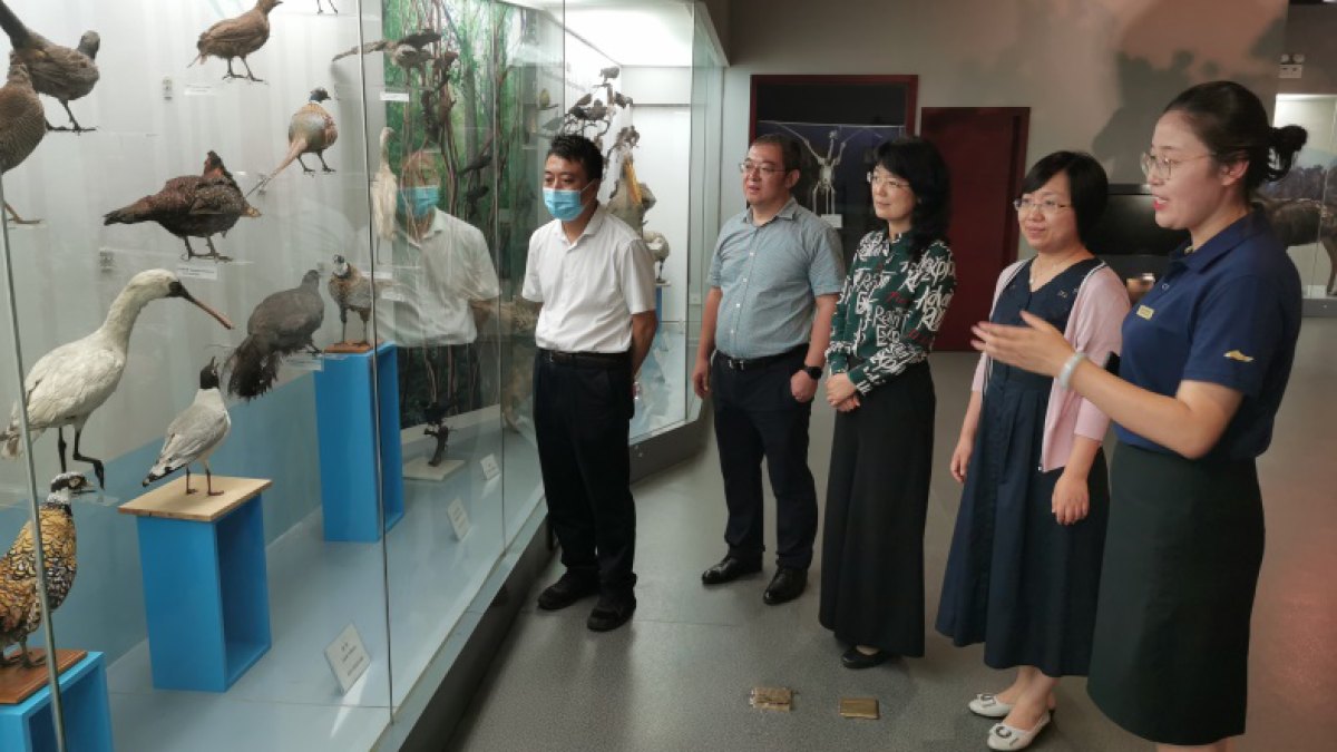 中建丝路集团一行来我校洽谈医学合作事宜