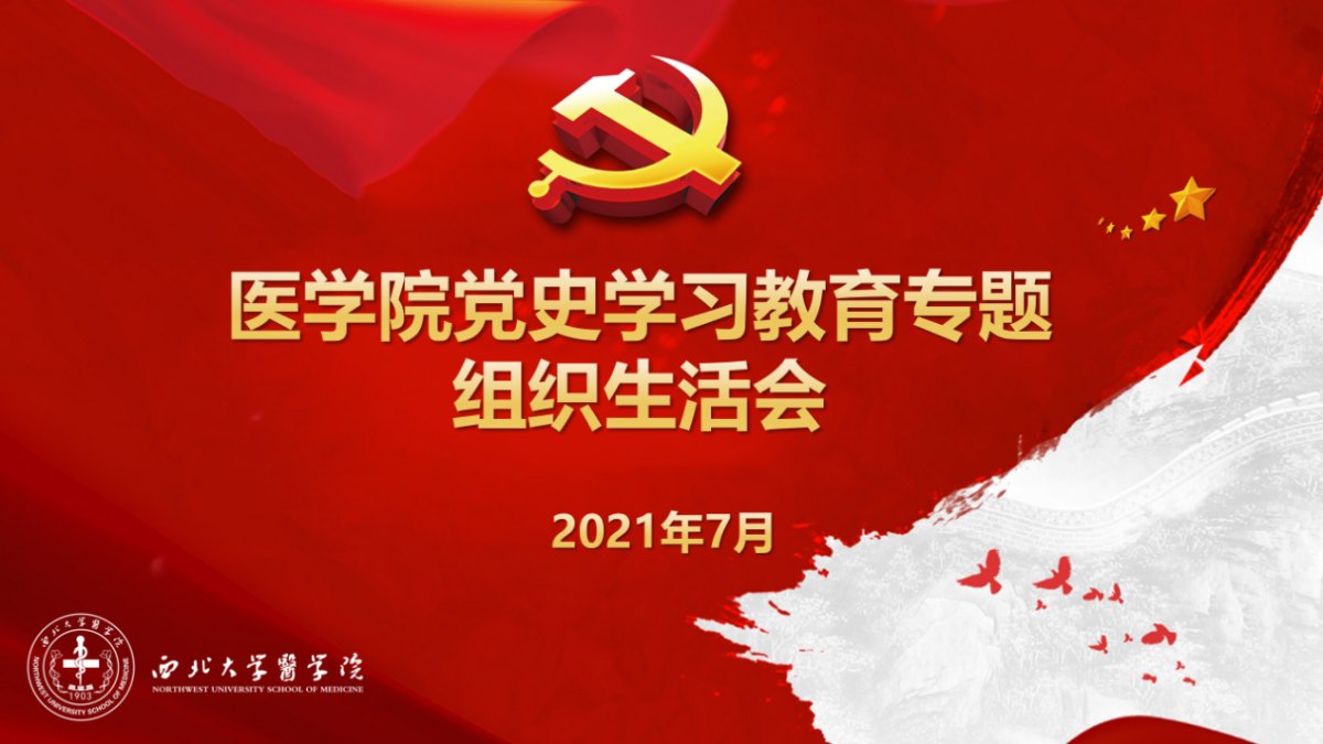 医学院召开党史学习教育专题组织生活会议